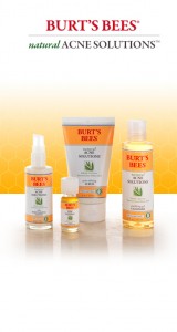 burt's bees natural acne solutions