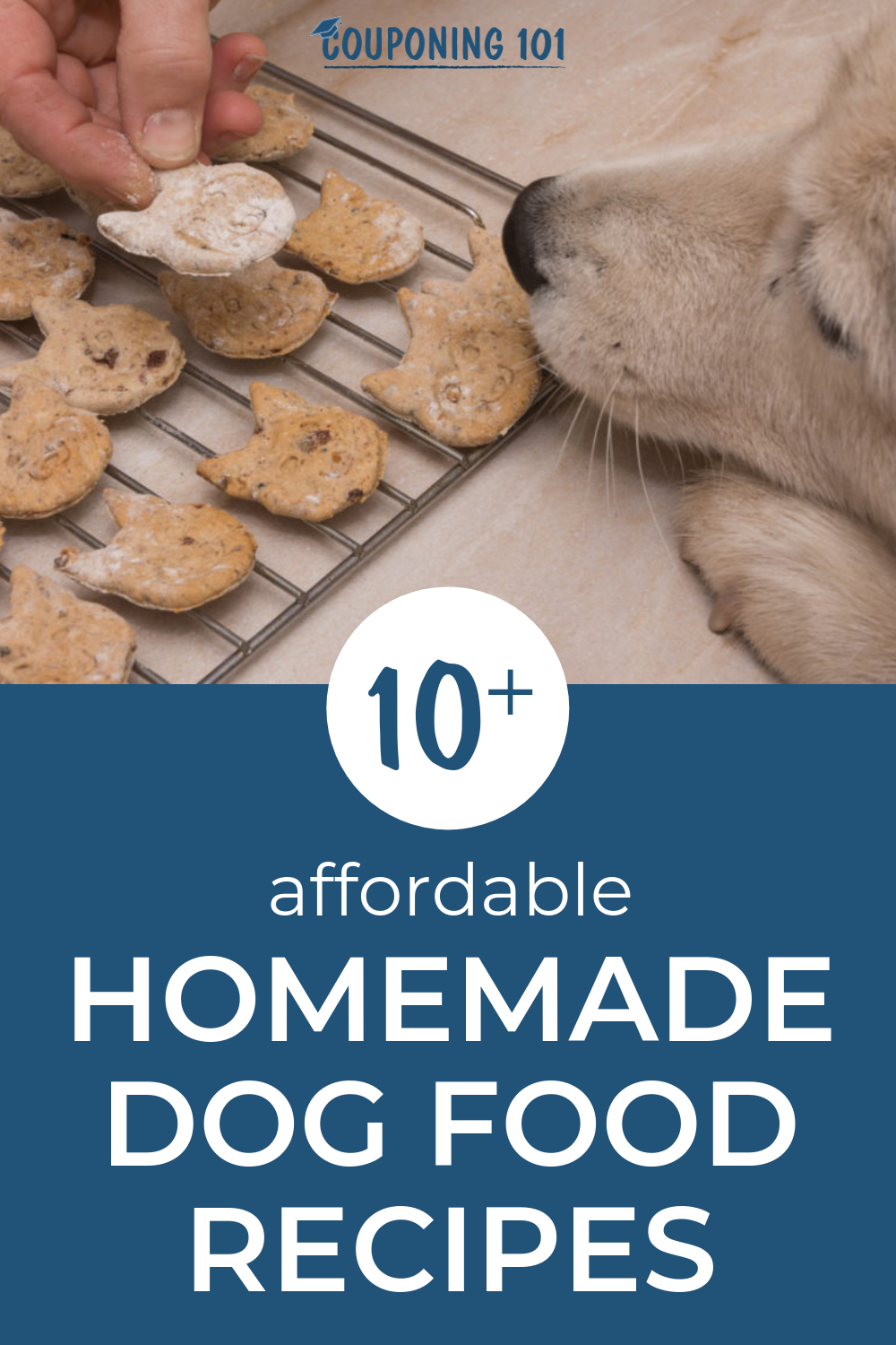 Affordable Homemade Dog Food Recipes | Couponing101