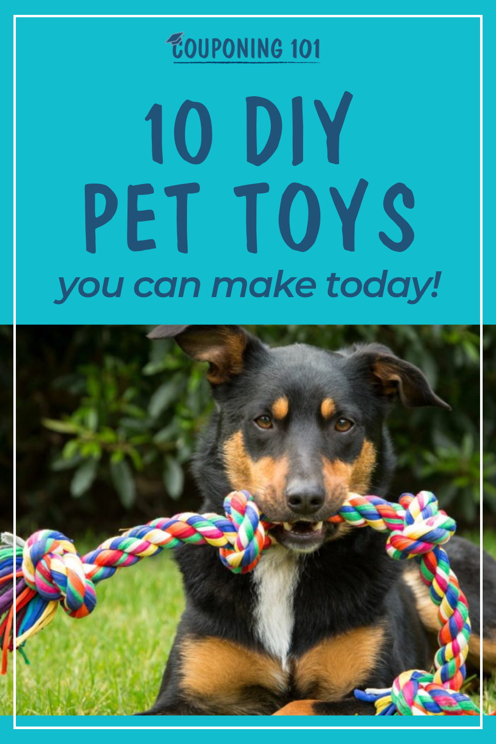 10 DIY Pet Toys You Can Make Today | Couponing 101